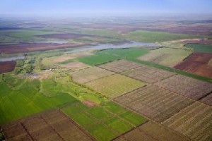 Polovina ukrainskih agrariev mozhet okazat'sja na grani bankrotstva