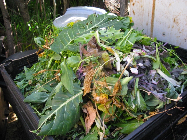 prigotovlenie komposta