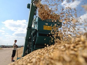 K 20 sentjabrja agrarii Ukrainy otpravili na jeksport 5.3 milliona tonn zerna