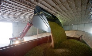 Ukraina namerena otpravit' na jeksport svyshe 30 mln. tonn zerna