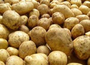 Krymskie agrarii ne mogut vyrashhivat' kartofel' iz-za konkurencii so storony ostal'noj Ukrainy