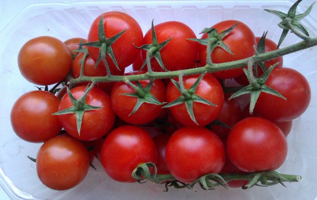 Kak hranit' pomidory
