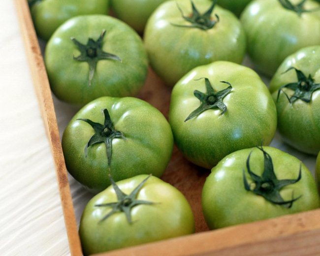 kak hranit' zelenye pomidory