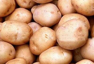 V Har'kove ceny na kartofel' dostigli nevidannyh 8 griven za kilo