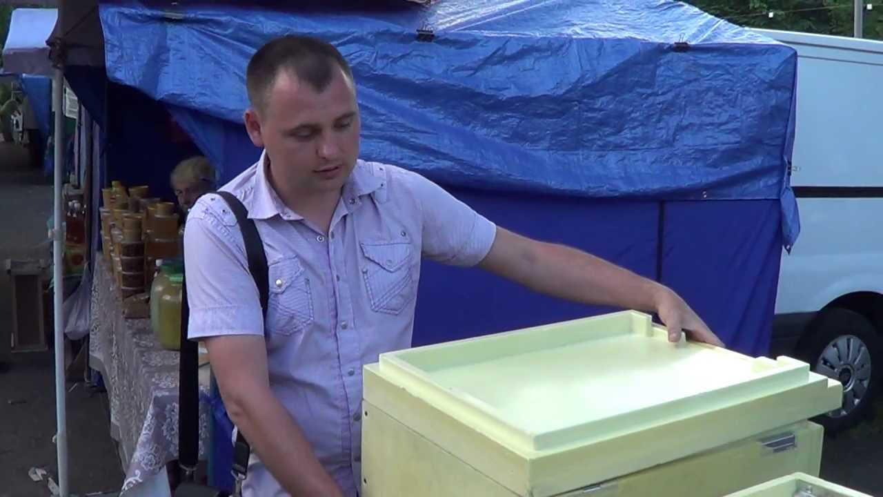 Выбор улья