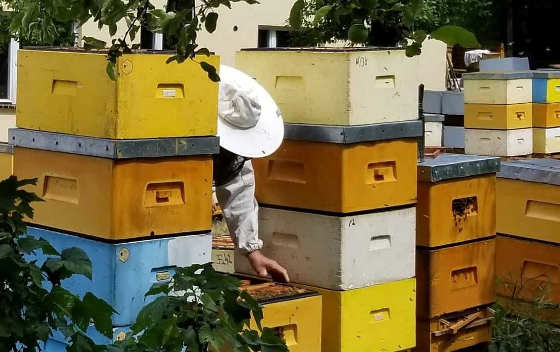 Пенополиуретановые ульи